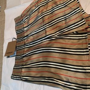 Burberry Silk Shorts